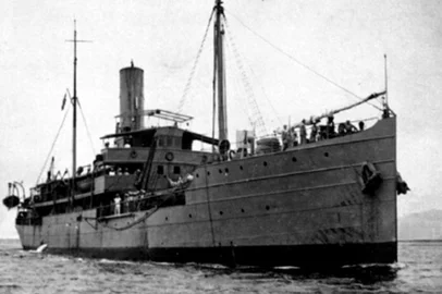 Navio Vital de Oliveira<!-- NICAID(15966206) -->