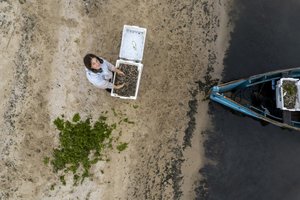 Jefferson Botega / Agência RBS Jefferson Botega / Agência RBS