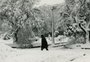 VÍDEO: nevasca encobriu ruas e casas de Passo Fundo no inverno de 1965