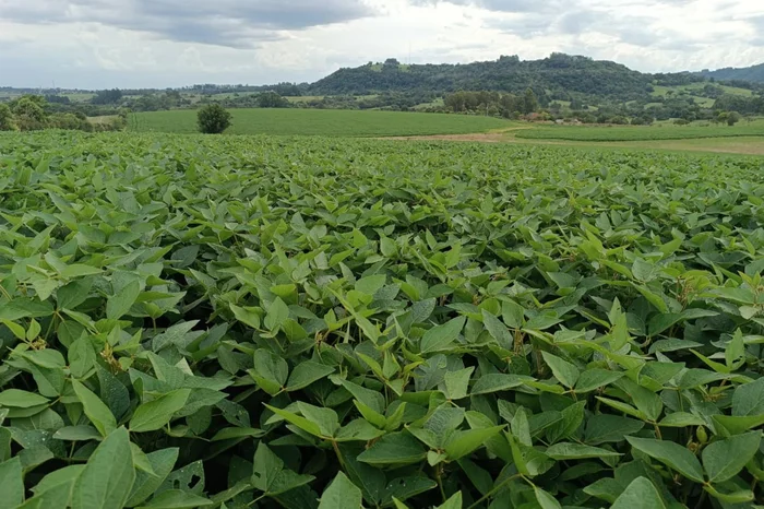 Wagner Cabral / Divulgação