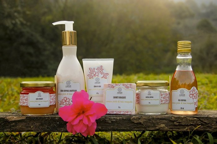 Tamara Hausmann / Divulgação