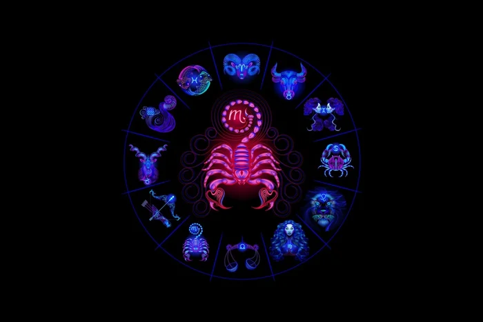 Tatyana Prokofieva / Shutterstock | Portal EdiCase Tatyana Prokofieva / Shutterstock | Portal EdiCase