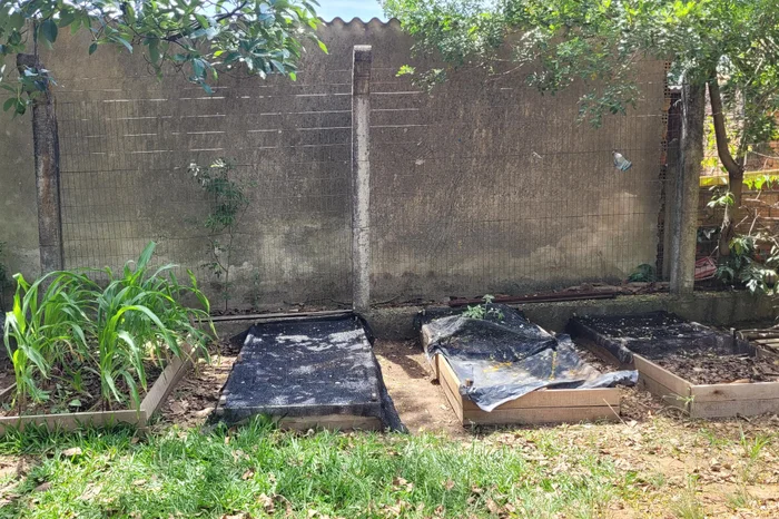 Isabella Sander / Agencia RBS