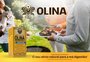 Olina: o aliado do seu churrasco de domingo
