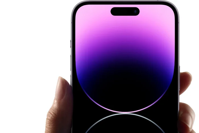 Humoart / stock.adobe.com Humoart / stock.adobe.com