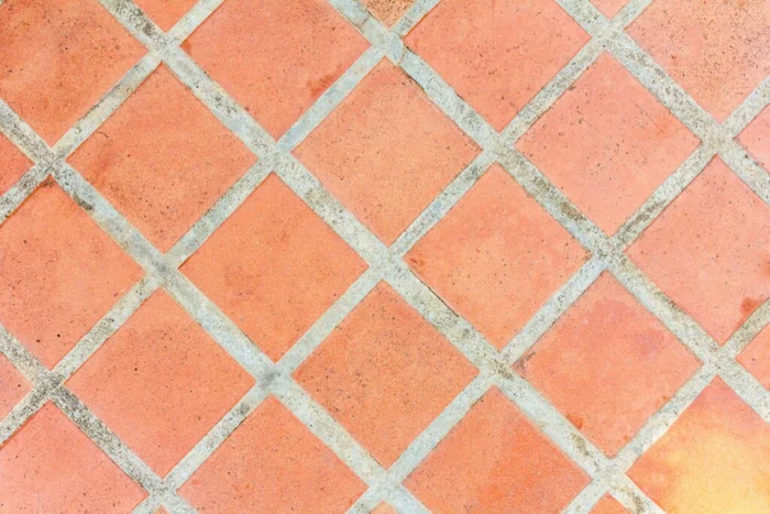 itim2101 / Shutterstock | Portal EdiCase