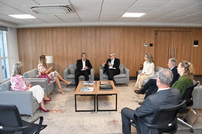 Eduardo Nichele / Divulgação Reunião entre presidente do TJ, Eduardo Uhlein, e secretário de Segurança, Mario Ikeda<!-- NICAID(16246328) -->