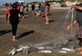 Com ajuda de botos, pescadores conseguem quatro toneladas de tainhas em dois dias em Balneário Pinhal