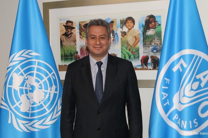 FAO Brasil / Divulgação