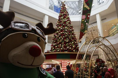 Porto Alegre, RS, Brasil, 06-11-2024: Lançamento do Natal do Bem 2024, no shopping Iguatemi. A praça Erico Verissimo, no 1o piso, concentra as atrações e decoração de Natal. Foto: Mateus Bruxel / Agencia RBSIndexador: MATEUS BRUXEL<!-- NICAID(15908267) -->