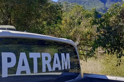 Equipes do Comando Ambiental da Brigada Militar (CABM) realizam buscas nesta segunda-feira (5) no interior de Maquiné, no Litoral Norte, após o relato de um morador que diz ter sido atacado por um puma (Puma concolor). O caso ocorreu neste domingo, na localidade de Barra do Ouro. O agricultor Darci Pelisser, de 78 anos, diz ter sido atacado por um animal em sua propriedade. Ele teve ferimentos no braço esquerdo.<!-- NICAID(16030194) -->