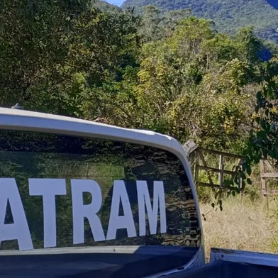 Equipes do Comando Ambiental da Brigada Militar (CABM) realizam buscas nesta segunda-feira (5) no interior de Maquiné, no Litoral Norte, após o relato de um morador que diz ter sido atacado por um puma (Puma concolor). O caso ocorreu neste domingo, na localidade de Barra do Ouro. O agricultor Darci Pelisser, de 78 anos, diz ter sido atacado por um animal em sua propriedade. Ele teve ferimentos no braço esquerdo.<!-- NICAID(16030194) -->