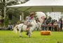 Saiba como a Expofeira Pelotas contribui para impulsionar o agro no Sul do Estado