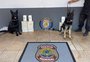 Cães da PF acham quase 50 quilos de cocaína em caminhonete apreendida em Roque Gonzales