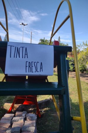 Lisiane Maia Camargo / Arquivo Pessoal