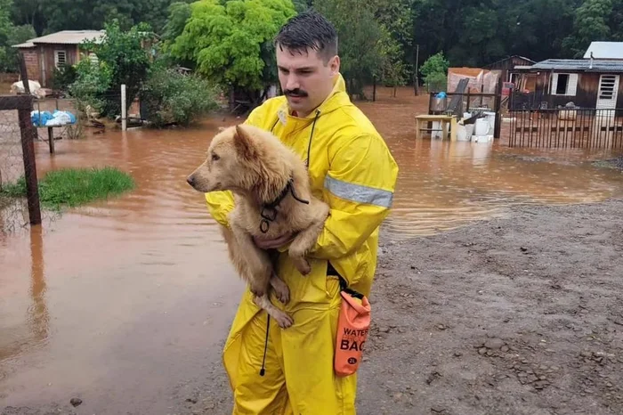 7° Batalhão de Bombeiros Militar / Divulgação 7° Batalhão de Bombeiros Militar / Divulgação
