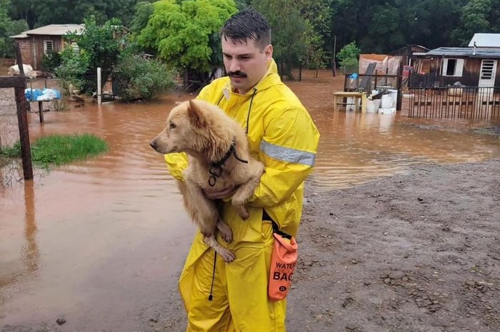7° Batalhão de Bombeiros Militar / Divulgação 7° Batalhão de Bombeiros Militar / Divulgação