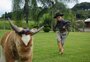 VÍDEO: abertura do Rodeio Internacional de Vacaria terá laçador com apenas um dos braços e narrador mirim