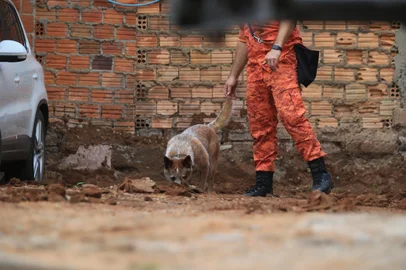 GRAVATAÍ, RS, BRASIL, 13-03-2026: Família Aguiar: polícia e bombeiros fazem buscas com cães farejadores em Gravataí e Cachoeirinha. Silvana Germann de Aguiar, de 48 anos, e os pais dela, Isail Aguiar, de 69, e Dalmira Aguiar, 70, não são vistos desde os dias 24 e 25 de janeiro. Foto: Ronaldo Bernardi/Agência RBS<!-- NICAID(16244499) -->