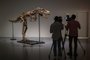 A Gorgosaurus Skeleton measuring 10 feet tall (3.04 meters) is unveiled at Sothebys in New York, on July 05, 2022. - The Specimen is the highlight of Sothebys geek week sale series and is estimated at $5 to 8 million. (Photo by ANGELA WEISS / AFP)Editoria: FINLocal: New YorkIndexador: ANGELA WEISSSecao: financial and business serviceFonte: AFPFotógrafo: STF<!-- NICAID(15141374) -->