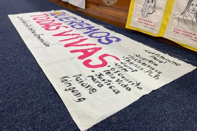 Com 2 mil ocorrências de violência contra a mulher até agosto, Passo Fundo recebe comissão da Câmara de Deputados<!-- NICAID(16117833) -->