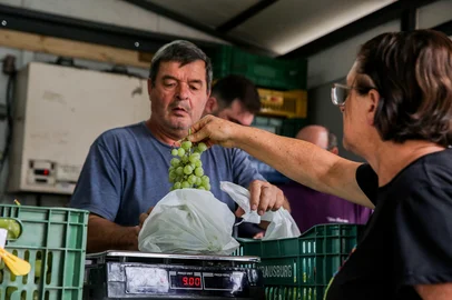 Preço da uva chega a R$ 7,50 o quilo em Caxias. Na foto, produtor Ademar Zanrosso, que comercializa a fruta na Praça Dante Aligheiri. (Neimar De Cesero/Agência RBS)Indexador: Neimar De Cesero<!-- NICAID(15964106) -->