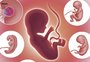 Aborto: o que diz a lei no Brasil