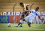Novorizontino fica no empate o CSA e rebaixamento vira preocupação na Série B