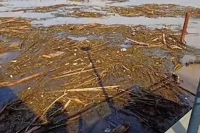 detritos impedem embarque e desembarque do catamarã no pontal, na zona sul de porto alegre