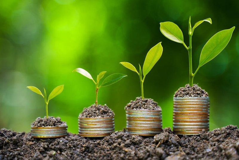the light bulb sits on the ground Plants grow on stacked coins. Renewable energy production is essential for the future. Green businesses using renewable energy can limit climate change and global warming.Fonte: 560376481<!-- NICAID(15362450) -->