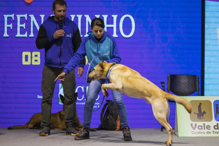 Augusto Tomasi / Divulgação
