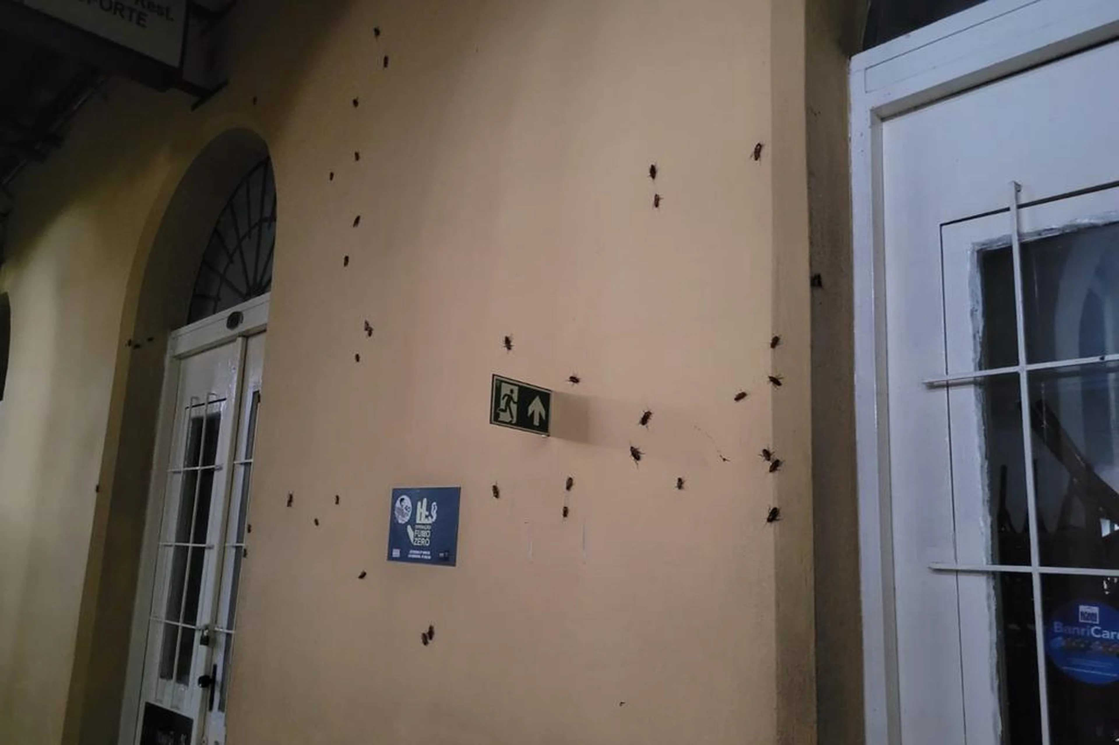 Cristiano Munari/Agência RBS