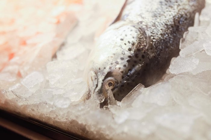 Anselmo Cunha / Agencia RBS