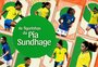 Figurinhas da Pia: como chegam as 23 convocadas pela Seleção Brasileira para a Copa