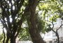 Não gostaria que Porto Alegre virasse um terreno baldio