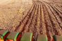 Plantio de soja em Santa Rosa, no RS<!-- NICAID(15619588) -->