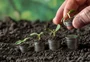 As leituras feitas pelo agro do Plano Safra 2026/2027