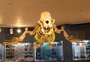 Circuito de museus une história, mar e ciência em Rio Grande