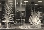 Varejo da Eberle, vitrines e um Natal de Afetos