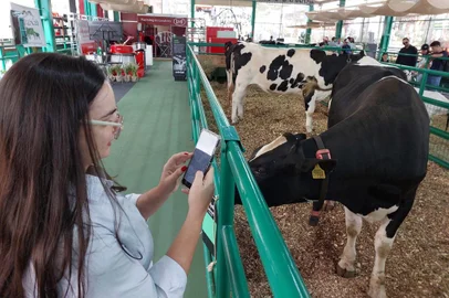 Da reprodução pecuária às decisões no campo, inteligência artificial é destaque na Expodireto<!-- NICAID(15697523) -->