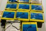 Polícia apreende mais de 11 kg de cocaína em Bento Gonçalves 