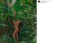 Grávida, Thaila Ayala posa nua com o filho no colo