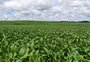 O futuro do agro a por o Fundo