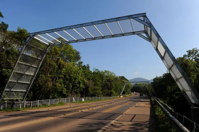 ITATI, RS, BRASIL, 05/11/2021 - Passarelas para travessia de animias são instaladas em Itati. (Marcelo Casagrande/Agência RBS)<!-- NICAID(14933292) -->