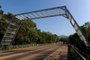 ITATI, RS, BRASIL, 05/11/2021 - Passarelas para travessia de animias são instaladas em Itati. (Marcelo Casagrande/Agência RBS)<!-- NICAID(14933292) -->