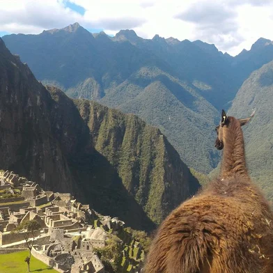 Machu Picchu, em Cusco<!-- NICAID(15554748) -->