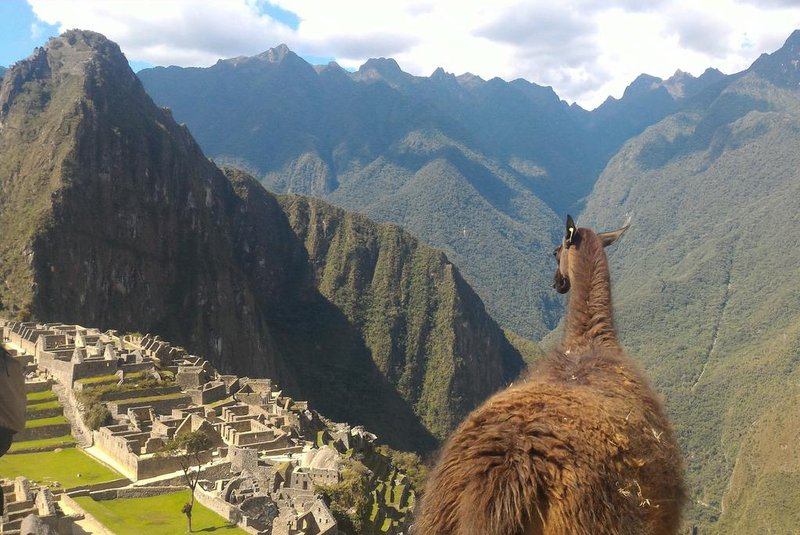 Machu Picchu, em Cusco<!-- NICAID(15554748) -->