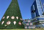 Ponto de resgate de vítimas da enchente recebe árvore de Natal de 18 metros