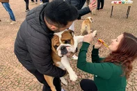 Uma mobilização para exigir leis mais severas contra praticantes de crimes contra animais reuniu protetores, tutores e o público em geral, neste domingo (24), junto ao Monumento ao Expedicionário, no Parque Farroupilha (Redenção), em Porto Alegre. No local, as pessoas eram convidadas a assinar um abaixo-assinado, enquanto os pets deixavam as marcas de suas patas pintadas com tinta em um painel à disposição. O recente caso de um cavalo que morreu após ser mutilado com um facão em Bananal, no interior de São Paulo, foi mencionado pelos presentes. A iniciativa foi promovida pelo Vakinha, maior plataforma de vaquinhas online do Brasil.<!-- NICAID(16108869) -->