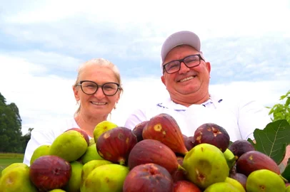 Tema do Bem+ Agro: A família Negrello comanda uma agroindústria de figo em Barão, no Vale do Caí<!-- NICAID(16279885) -->